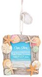 Driftwood & Shell Photo Frame