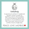 LOLA® Lady Bug Pendant
