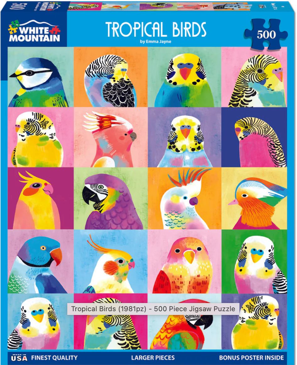 Tropical Birds