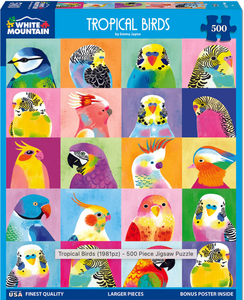 Tropical Birds