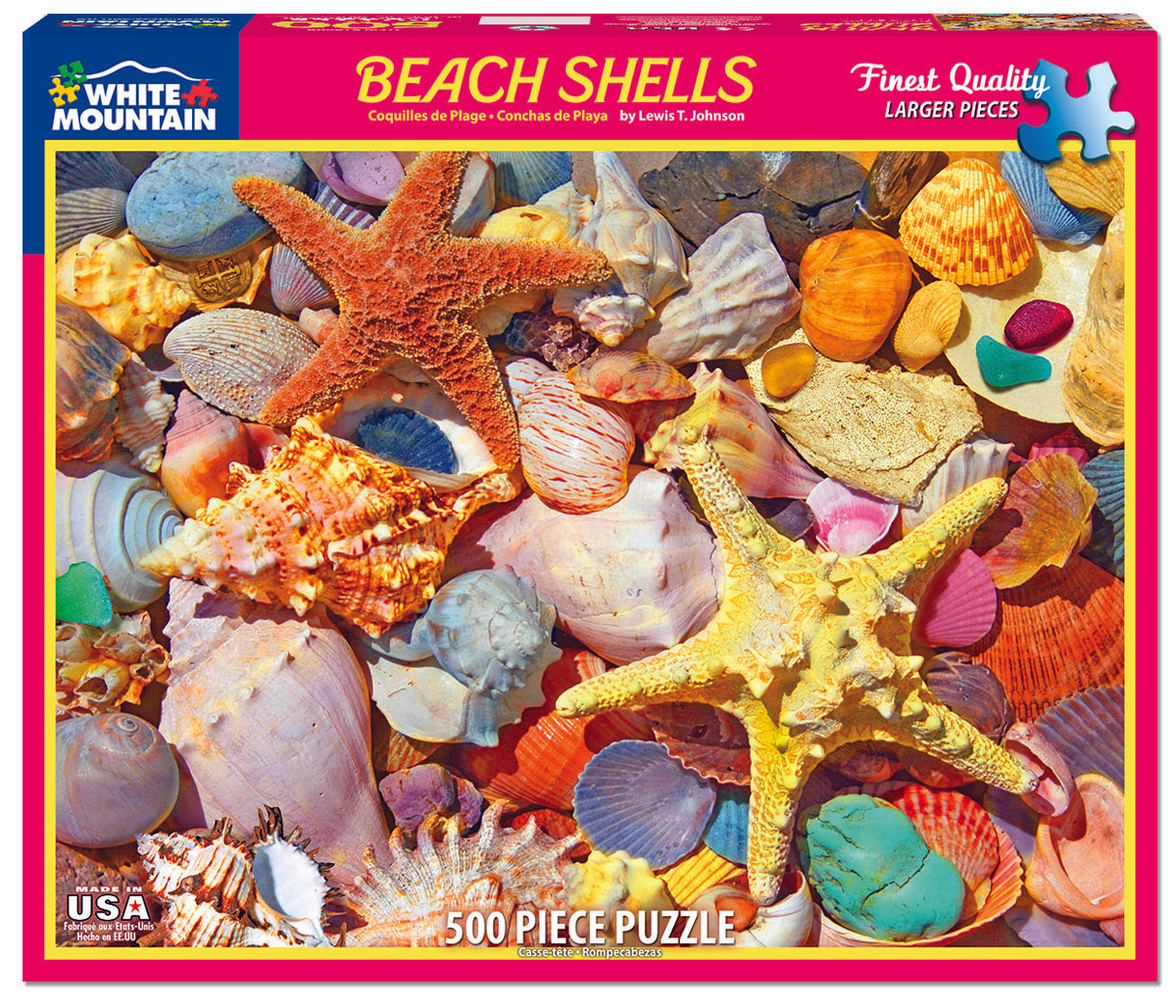 Beach Shells