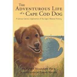 The Adventurous Life of a Cape Cod Dog
