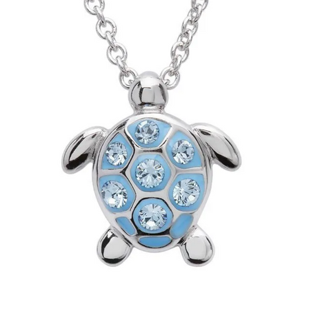Small Aqua Sea Turtle