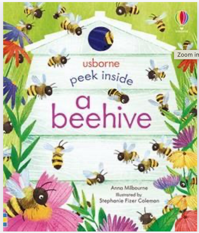 Peek Inside a Beehive