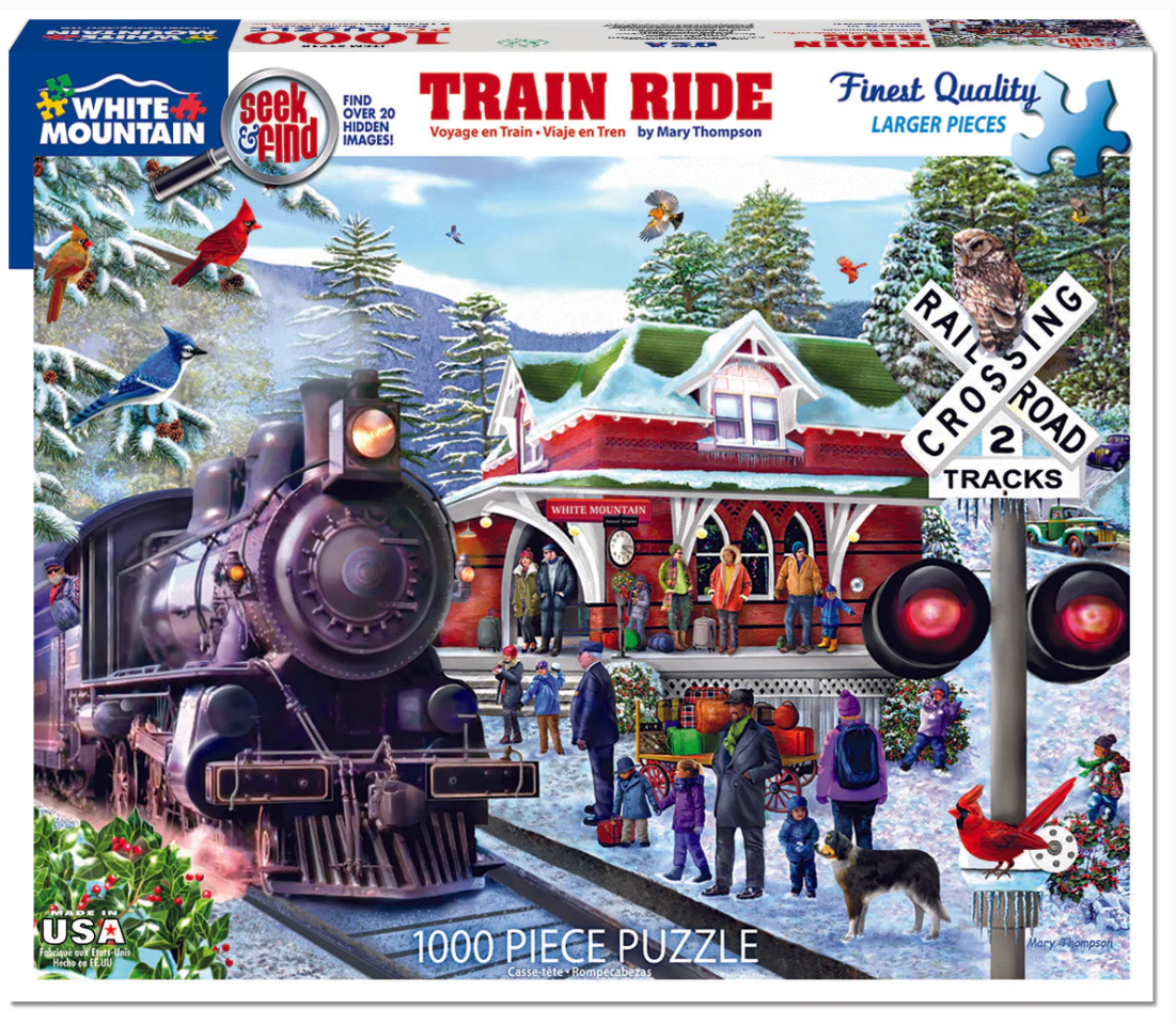 Train Ride